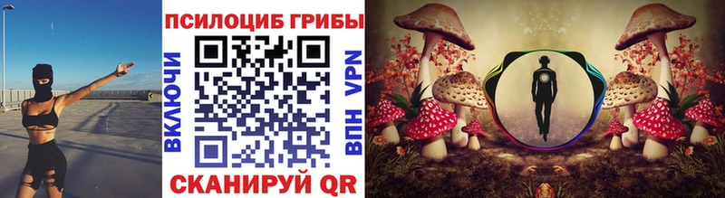 omg вход  Ейск  Псилоцибиновые грибы мицелий  цены наркотик 
