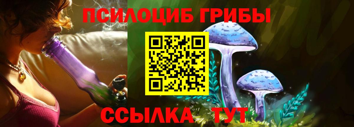Псилоцибиновые грибы мицелий  Псилоцибиновые грибы мухоморы  Ейск  Вход с VPN 